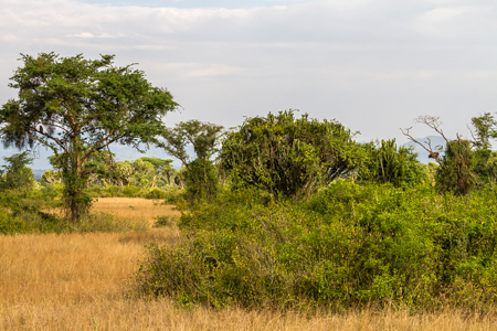 3 Days Queen Elizabeth NP